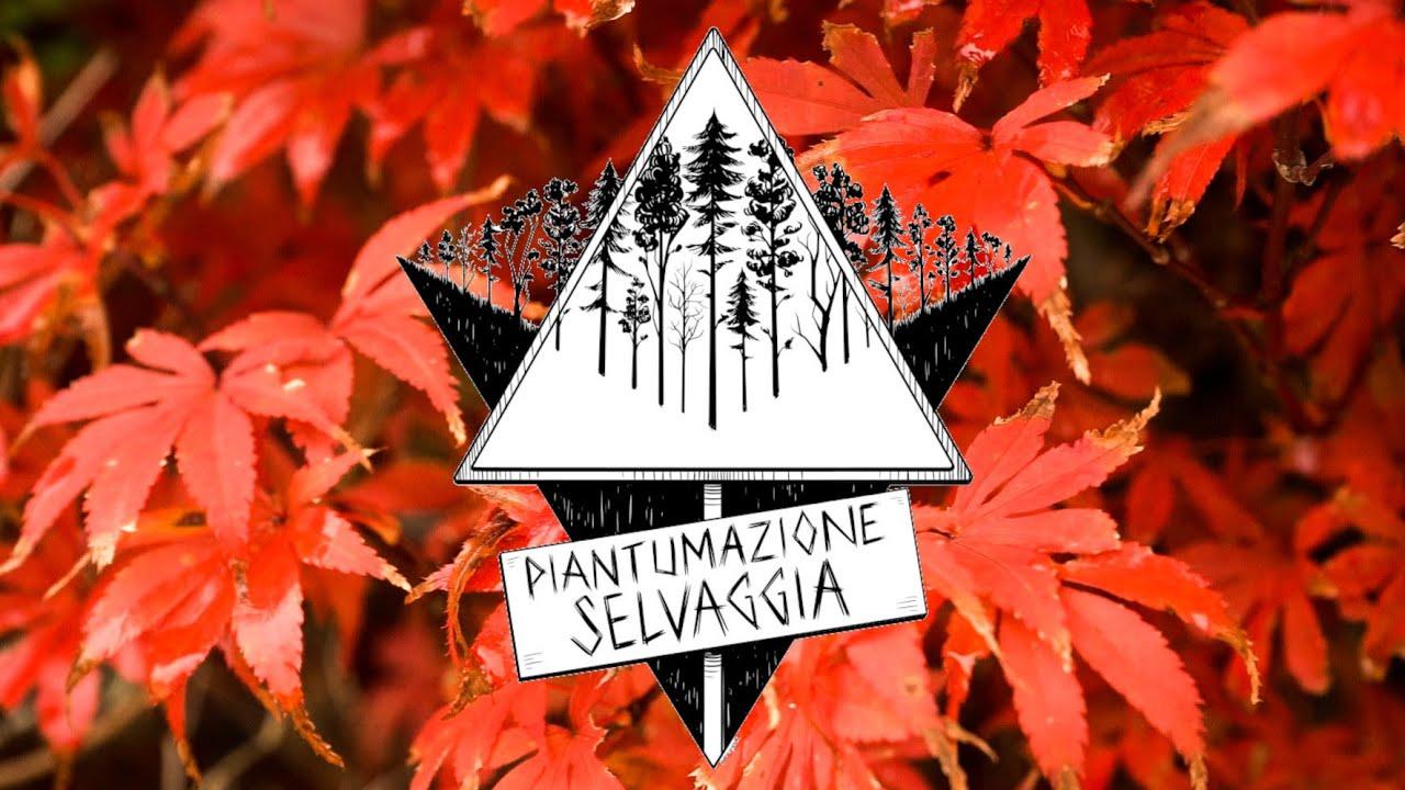 Piantumazione Selvaggia
